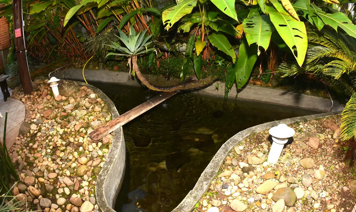 Hotel Don Albertos
